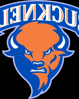 Bucknell Bison Football Lewisburg