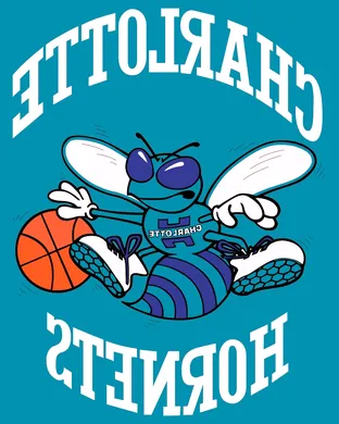 Charlotte Hornets Charlotte