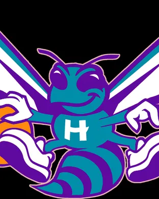 Charlotte Hornets Winston Salem