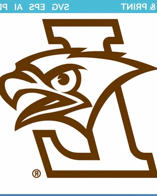 Lehigh Mountain Hawks Villanova