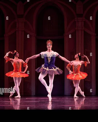 Les Ballets Trockadero De Monte Carlo Philadelphia