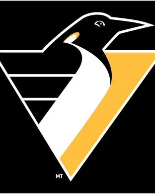 Pittsburgh Penguins Raleigh