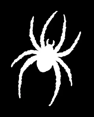 Richmond Spiders Football Villanova